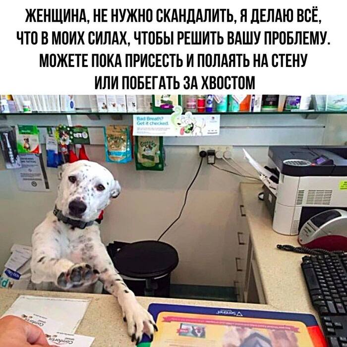 ������� ��������