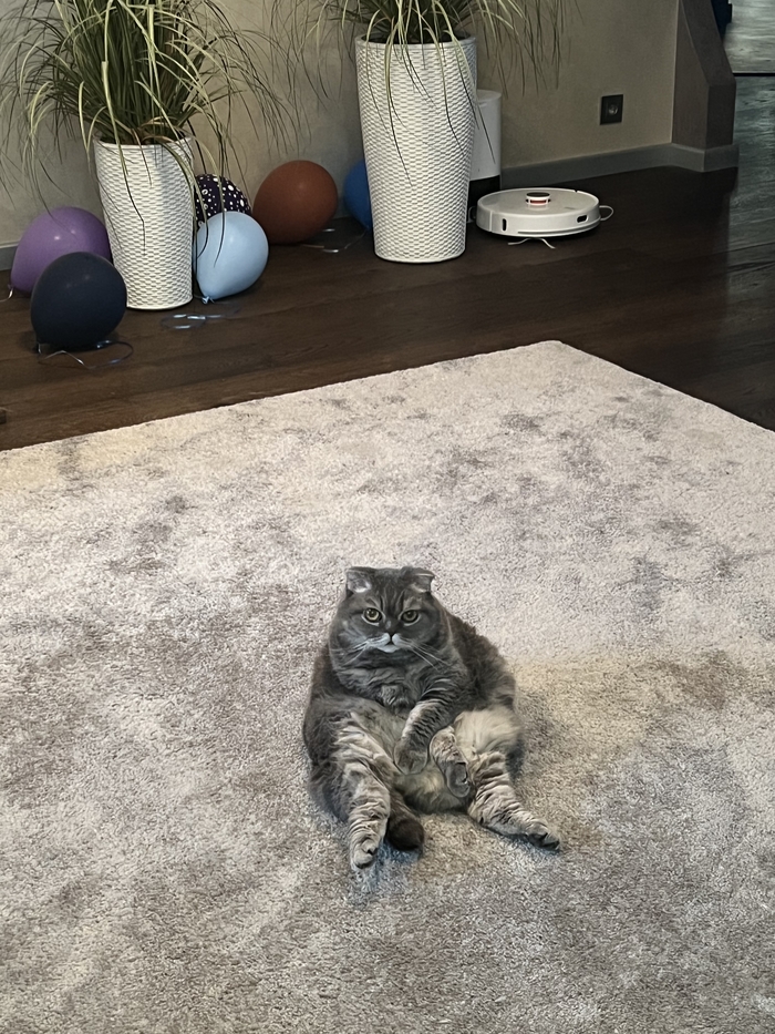 Праздник окончен