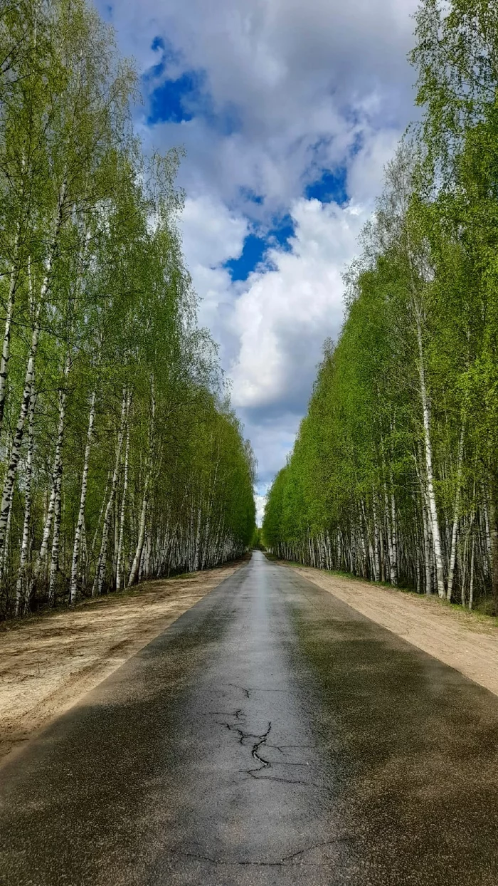 По дороге в Керженец, Нижегородская область - Фотография, Природа, Красота природы, Красота, Россия, Нижегородская область, Дорога, Трасса