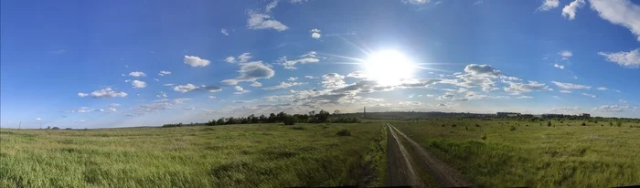 Prosyanka - My, Birds, Photo hunting, Ornithology, Steppe, Sunset, Anthracite, LPR, Donbass, Vacation, The photo, May, Hobby, Longpost