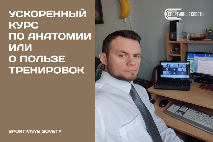 Ускоренный курс по анатомии или О пользе тренировок