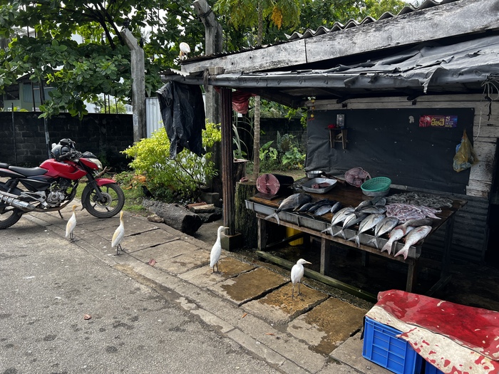 �� ��� �������? ���, ����������