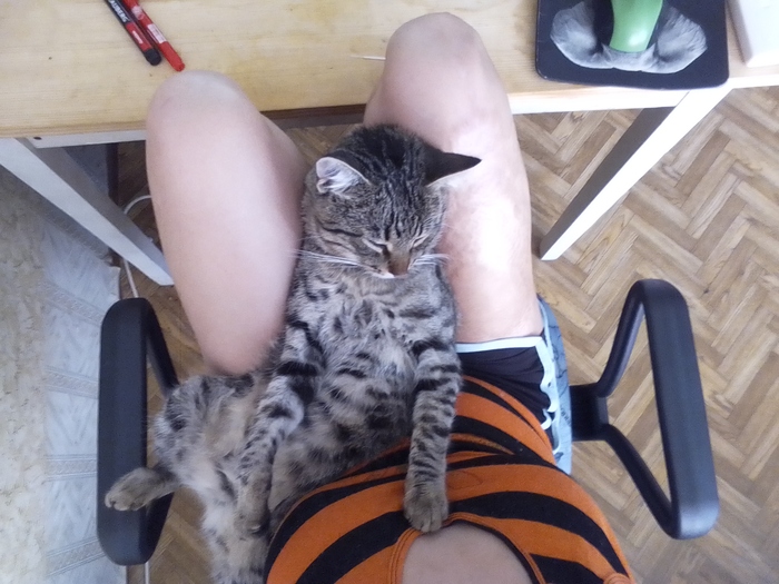  , , , , 