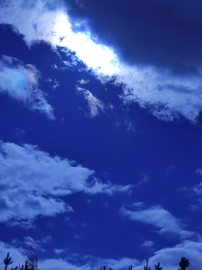 �������� ����������