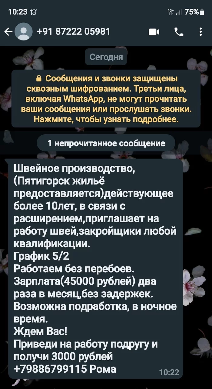 Вот тут не поняла - Моё, Странности, Телефон, Сообщения, Whatsapp, Вакансии