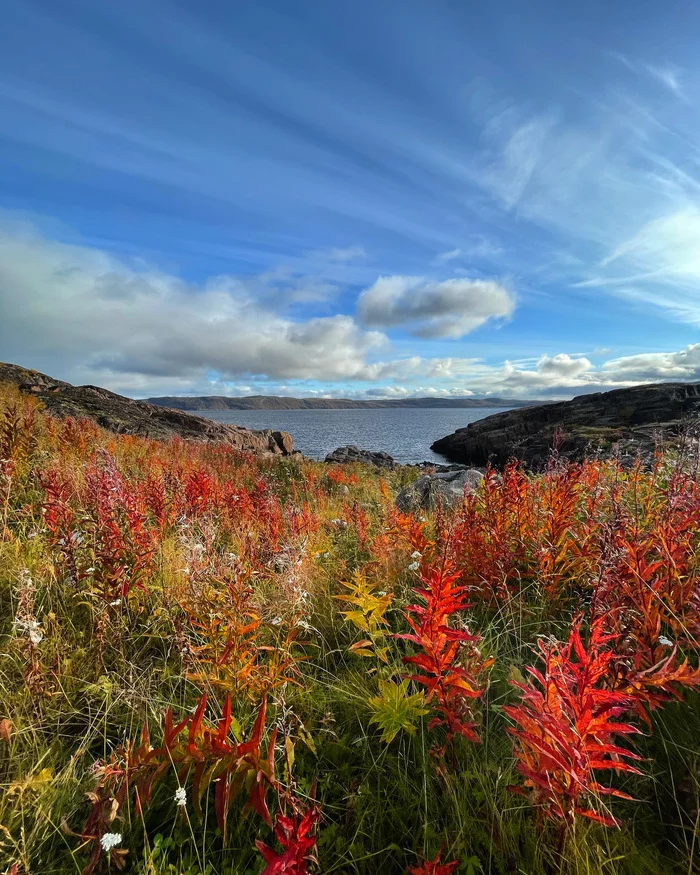 Teribersky coast in September - My, The photo, Travels, Mobile photography, Autumn, Murmansk region, Teriberka, Iphone 12, Sea