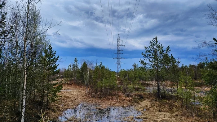 Before the storm - My, Thunderstorm, Mobile photography, Forest, Swamp, Power lines