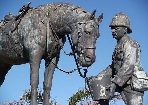 Monument to the horses who died in the Boer War - My, Anglo-Boer War, Monument, Horses, sights