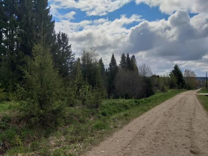 Village road along Rublyovka - My, Village, Forest, Walk, Road, beauty of nature, Rain, Longpost