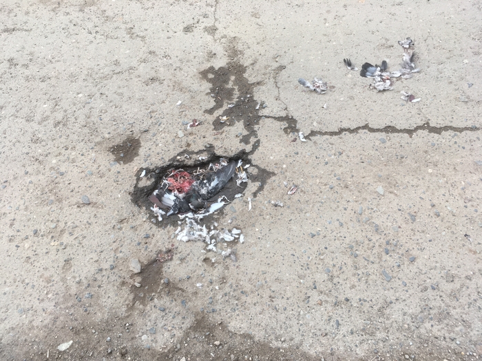 Ямочный ремонт в нашем городе)