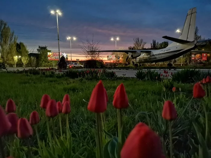 Saratov. - My, Saratov, The airport, Sunset, Airplane, Tulips, Spring, Longpost, The photo