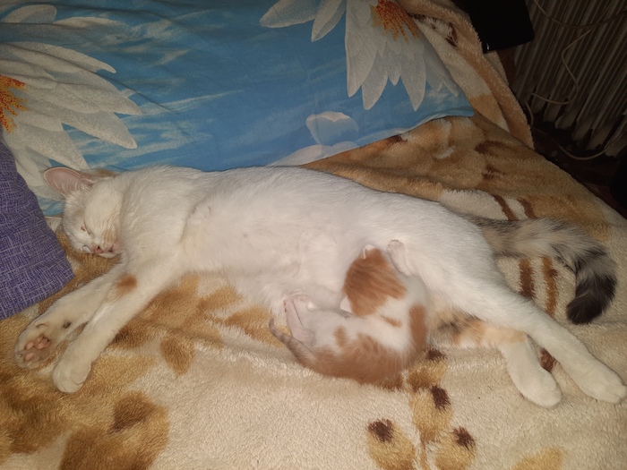 В нашем доме пополнение