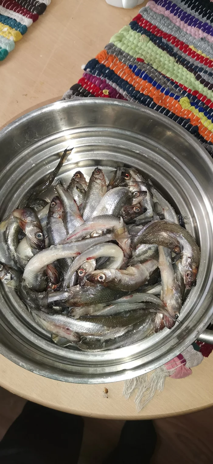 Pickled smelt - Recipe, Preparation, Smelt, Longpost