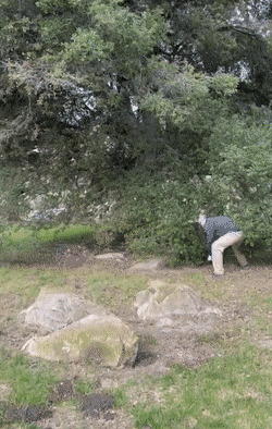   , , , 