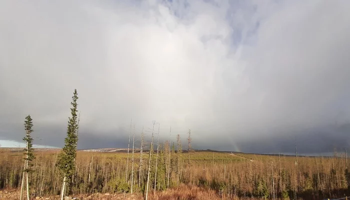 Rainbow - My, Rainbow, The photo, The Power of Siberia, East