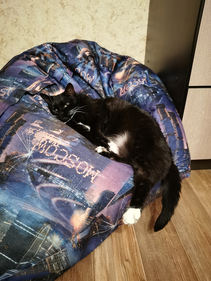 Пикабушники Питера, нужна помощь