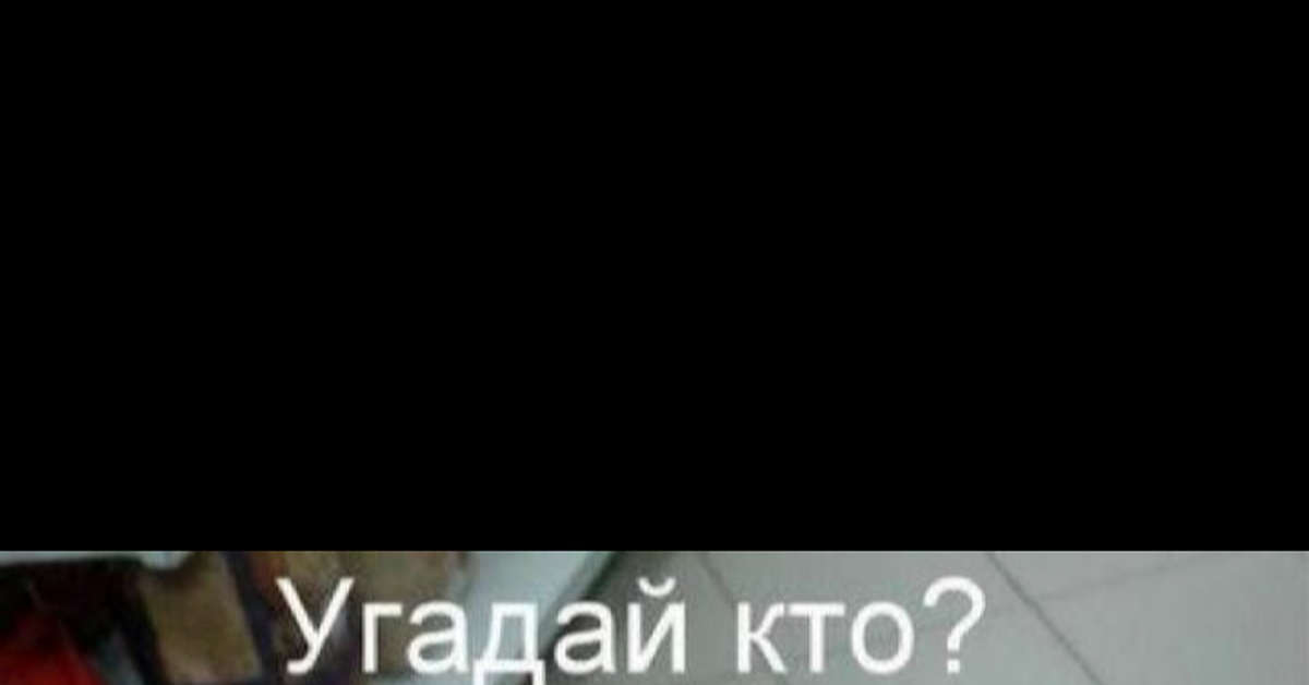 Бдительный Паук | Пикабу