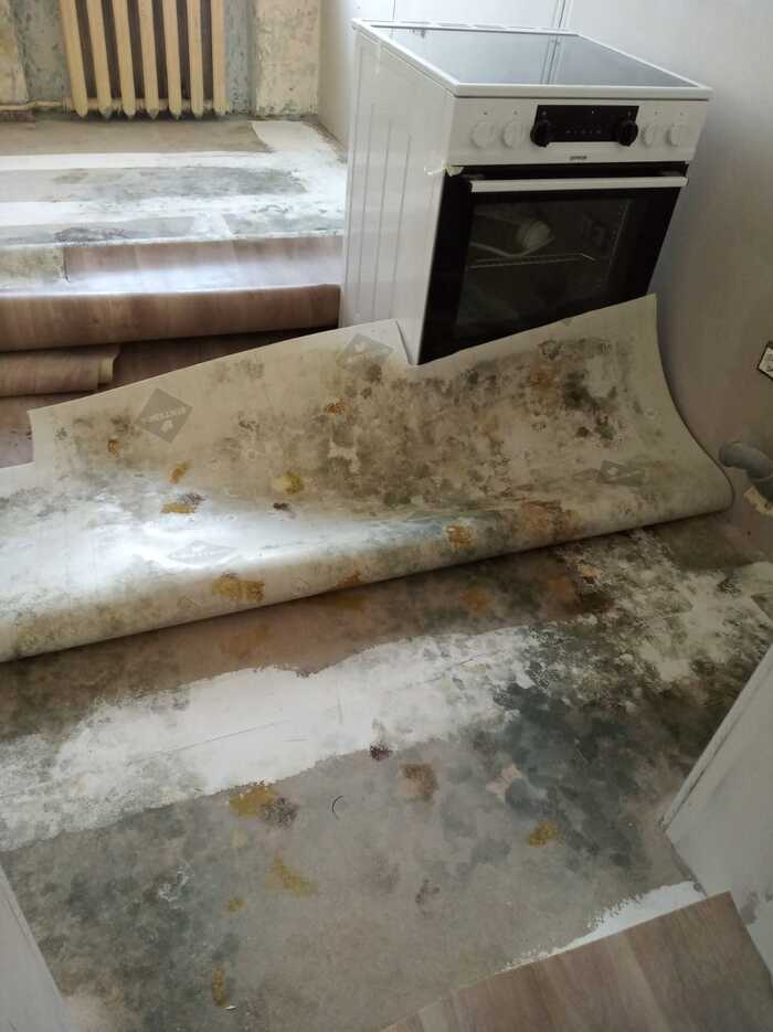 mold after repair - My, The property, Repair, Construction, Building, Apartment, Housing and communal services, Mold, Longpost