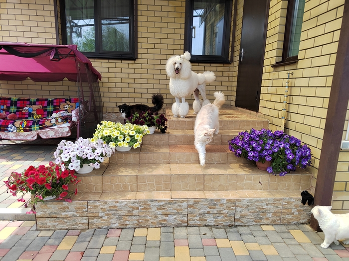 Окружён, но не сломлен