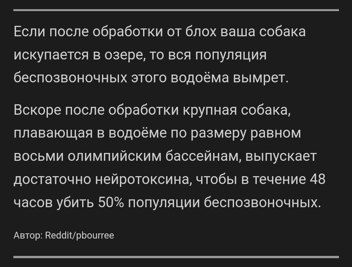 Удивительный факт