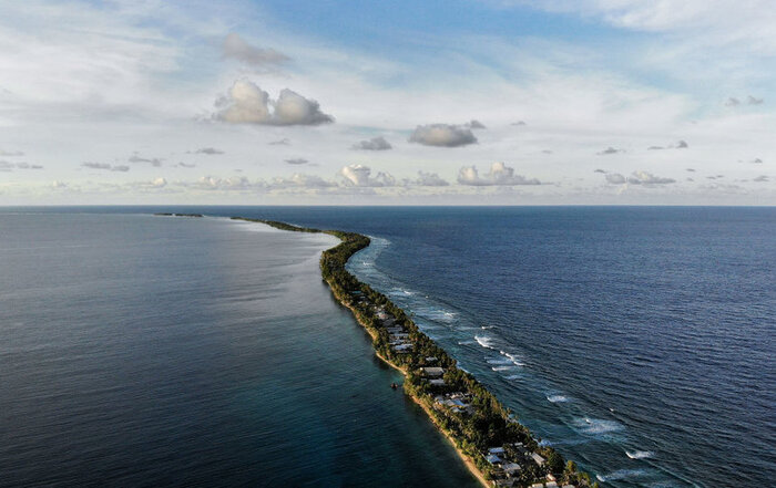 ������ ������