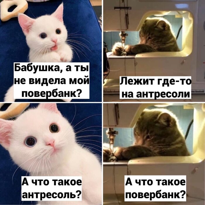 Встреча поколений