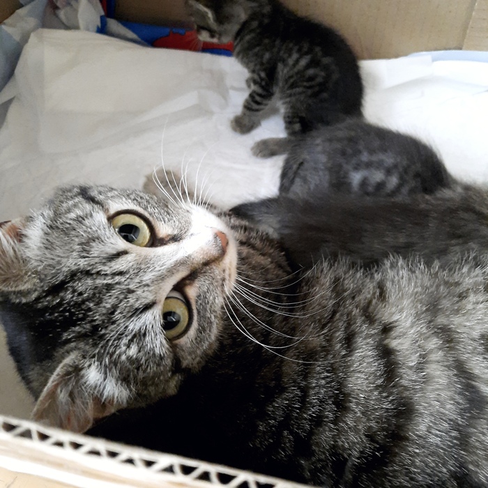 Красавица))