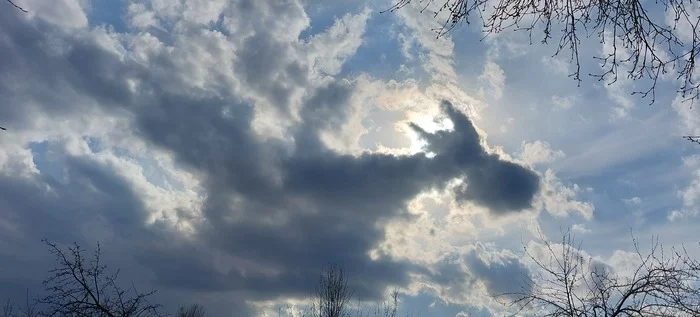 The Dragon - My, Clouds, Sky, The Dragon, Mobile photography, Pareidolia, Similarity