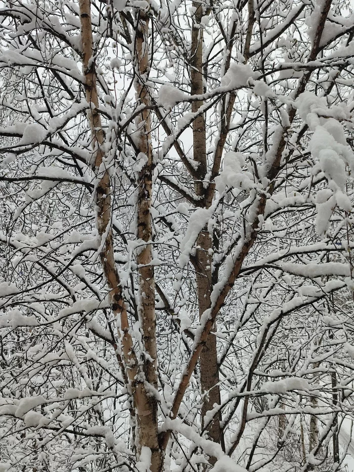 And outside the window is the month of May, the month of May, the month of May! - My, Pechora, Komi, Weather, Snow, May