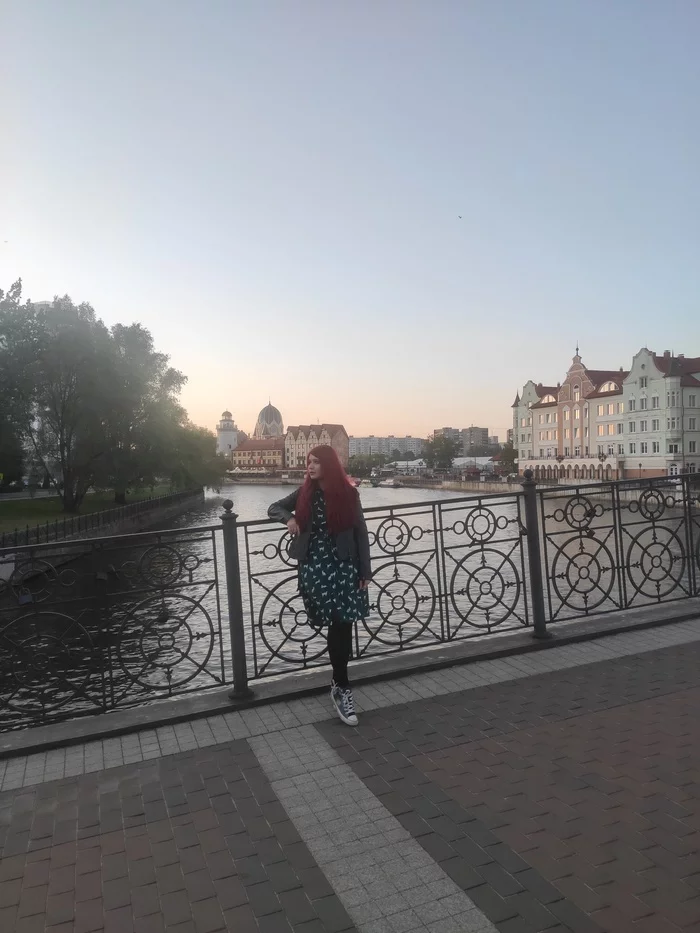 For those who do not know where to relax this year. Kaliningrad. First impression - My, Travels, Tourism, Vacation, Travel across Russia, Туристы, Kaliningrad, Europe, Relaxation, Excursion, Drive, Flight, Town, Baltic Sea, Sea, sights, Museum, Ocean, Oceanarium, Tourist places, Summer, Longpost
