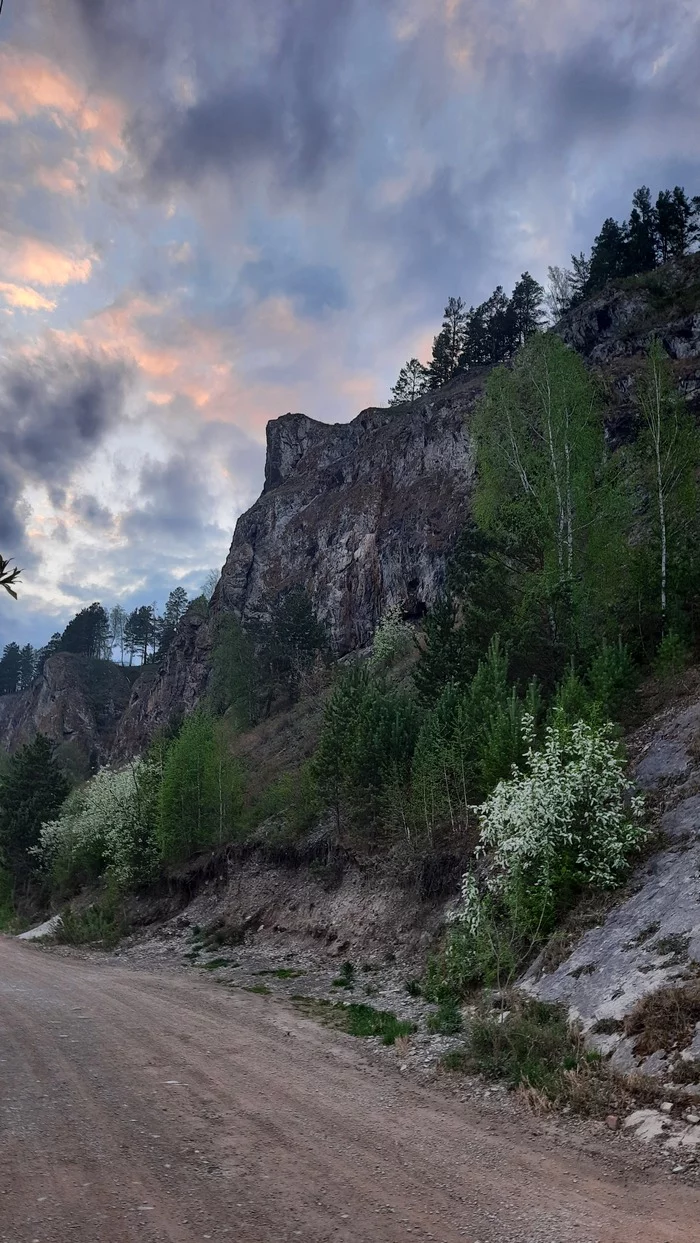 Прогулка вдоль Енисея - Моё, Мобильная фотография, Природа, Енисей, Длиннопост