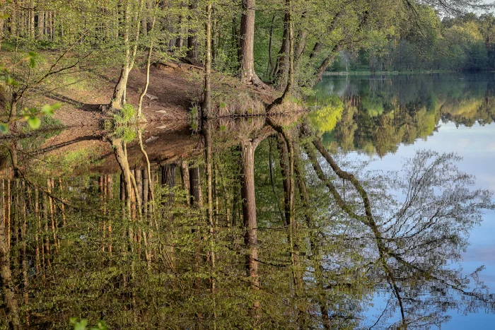 Spring in reflection - My, Landscape, Nature, The photo, Lake, Spring, The nature of Russia, Reflection, Morning, Moscow region, Beautiful view, Calmness