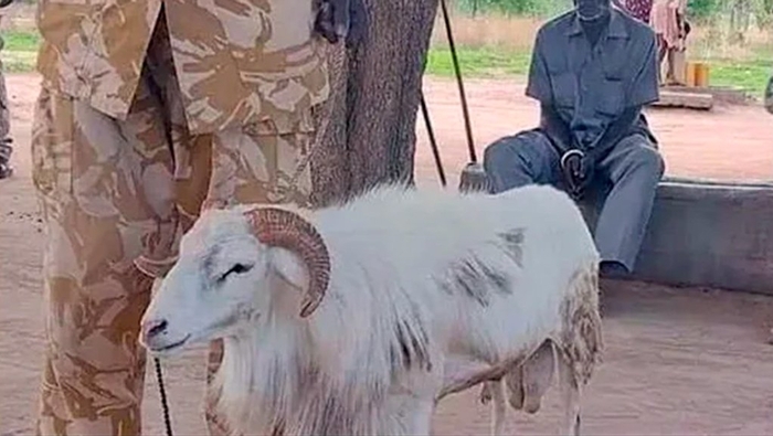 Барана приговорили к трем годам тюрьмы за убийство женщины