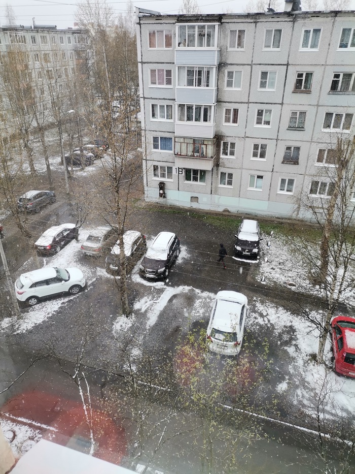 ������������ , 24 ���