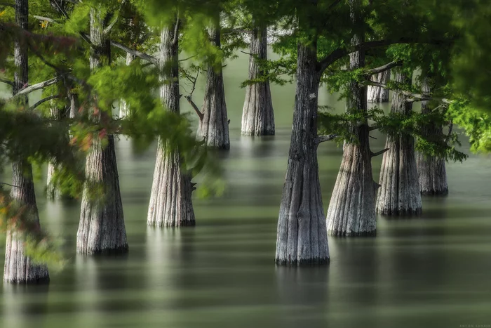 Sukko, how beautiful it is here - My, Nature, Landscape, Morning, dawn, Sukko, Краснодарский Край, Anapa, Long exposure, The photo, Travels, Travel across Russia, Cypress Lake, Lake, The nature of Russia