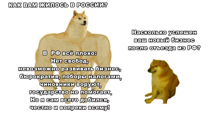 The whole essence of successful success after leaving the free countries - Politics, Memes, Picture with text, Business, Departure, Doge