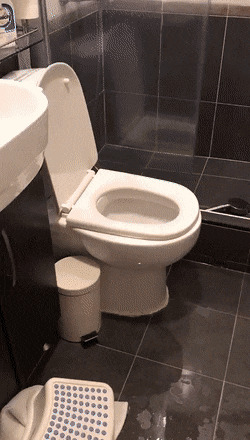   , , , 