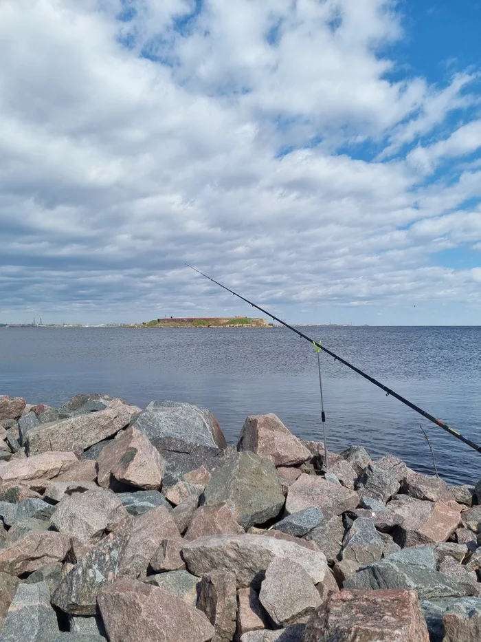 Hooray! Day off! - My, Relaxation, Weekend, Roach, Fishing, Catch, The bay, Happiness, A fish, Nature, Feeder, Photo on sneaker, Longpost