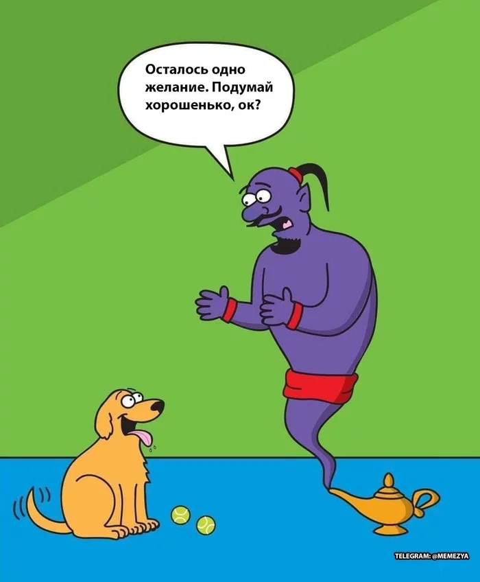 Play! - Dog, Genie, Wish, Picture with text