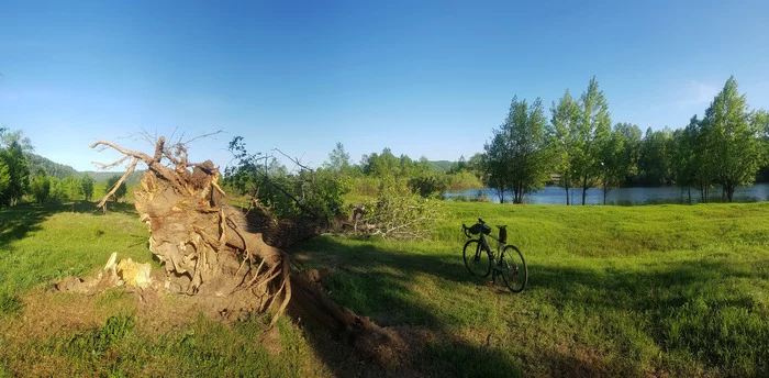 I declare summer - My, A bike, Flowers, Pokatushki, Kemerovo region - Kuzbass, Butterfly, Mobile photography, Samsung Galaxy S8 plus, Video, Youtube, Longpost