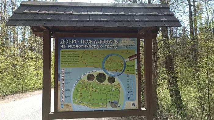 Hiking story #2: Eco route Komarovsky coast - Tourism, Hiking, Tracking, Nature, Leningrad region, Pa, , Longpost