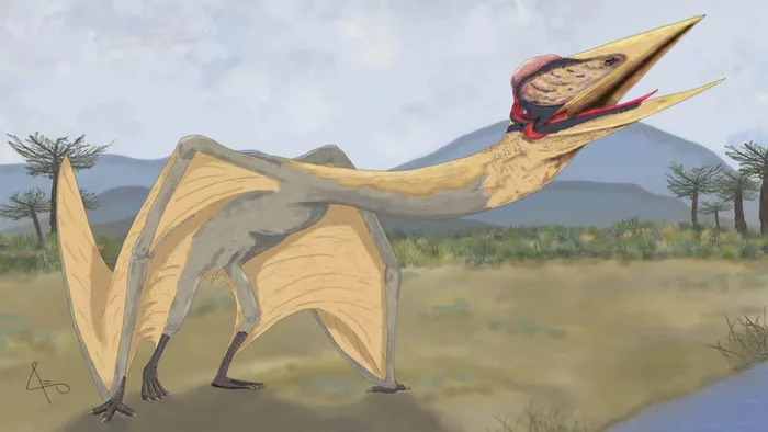 Giant 'dragon of death' found in Argentina - Pterosaurs, Fossils, Argentina, South America, Paleontology, Animals, Cretaceous, Prehistoric animals, Extinct species, Longpost