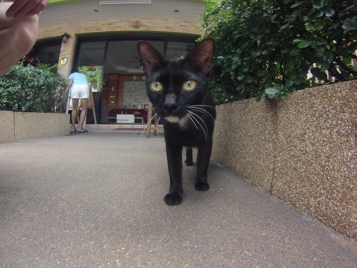 ����� �� ���� ����� ��������