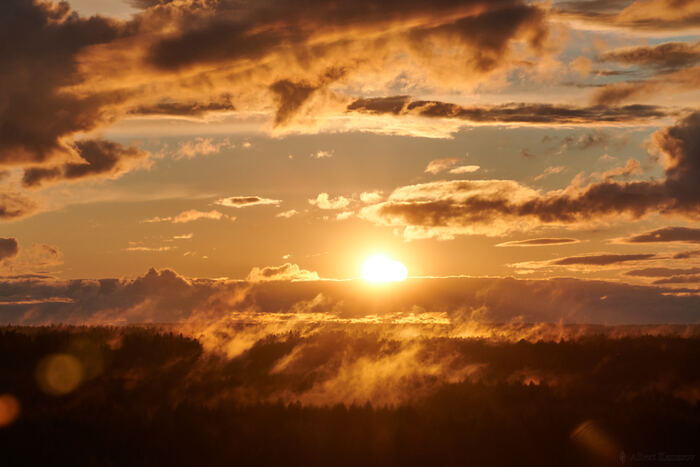 ����������, �����