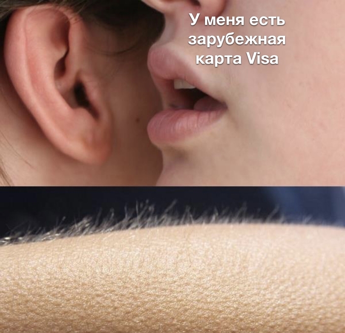   , Visa,  , ,   , 
