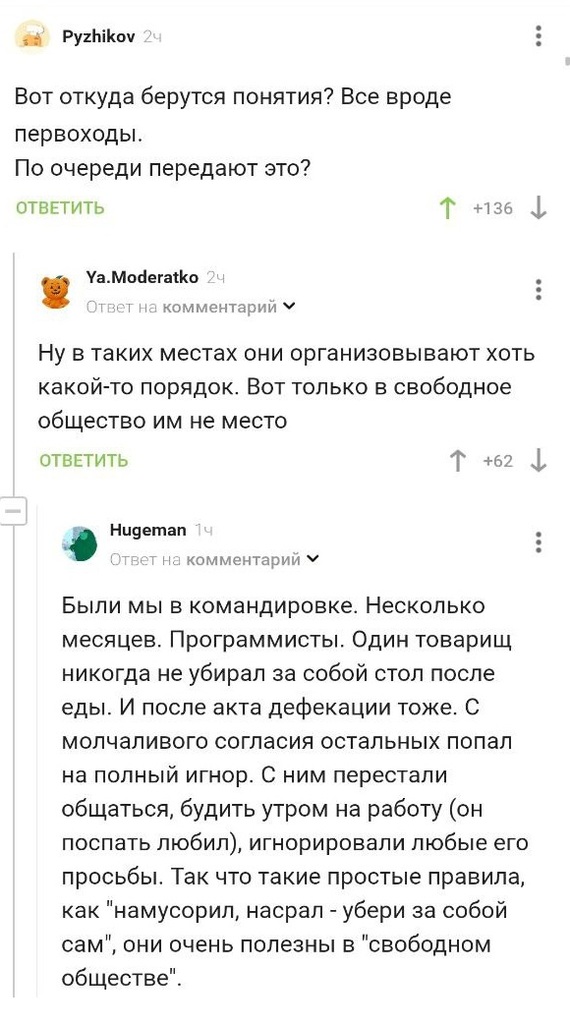 Когда по понятиям живут программисты - Комментарии на Пикабу, Пикабу, Программист, По понятиям, Длиннопост, Скриншот