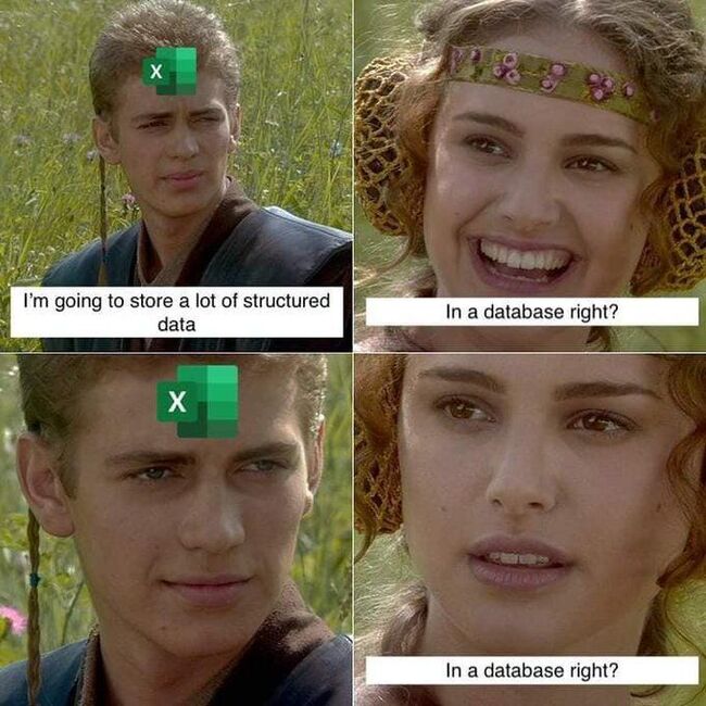 The pain of data analysts as it is - IT humor, Database, Humor, Memes, Picture with text, Anakin and Padme at a picnic