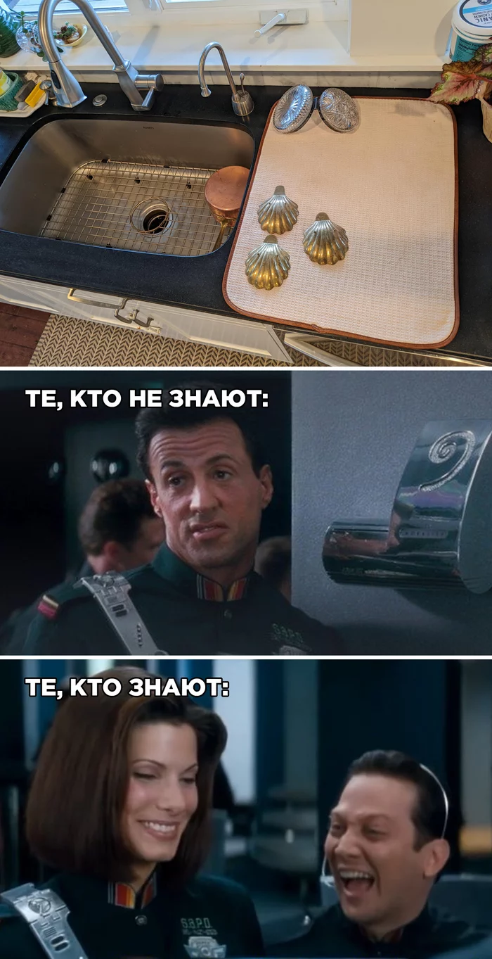 Three shells - My, Memes, Picture with text, Destroyer, Sylvester Stallone, Rob Schneider, Sandra Bullock, Seashells, Three shells