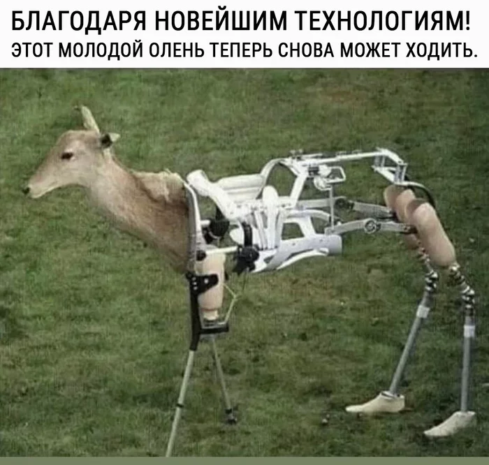 How much progress has been made - Humor, Strange humor, Picture with text, Translation, Technologies, Prosthesis, Prosthetics
