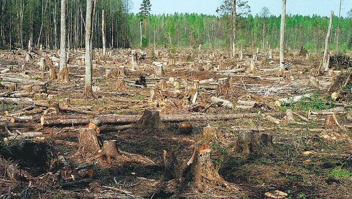 Estonian Environment Minister asked to resign - Estonia, Ecology